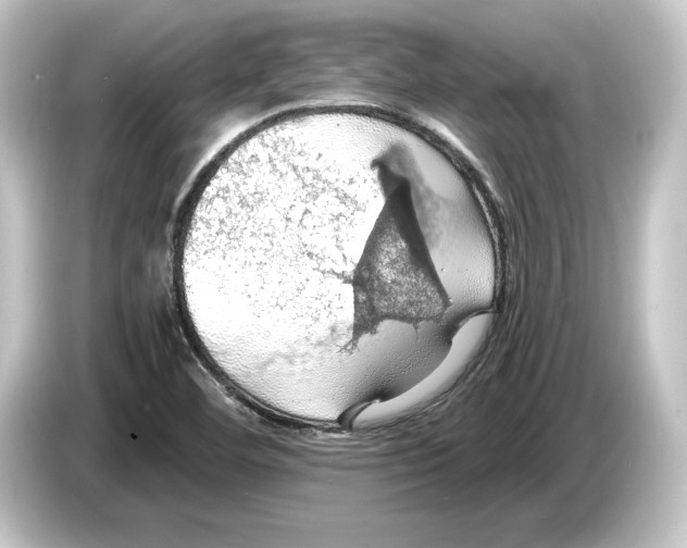 X0000084531460200703161558