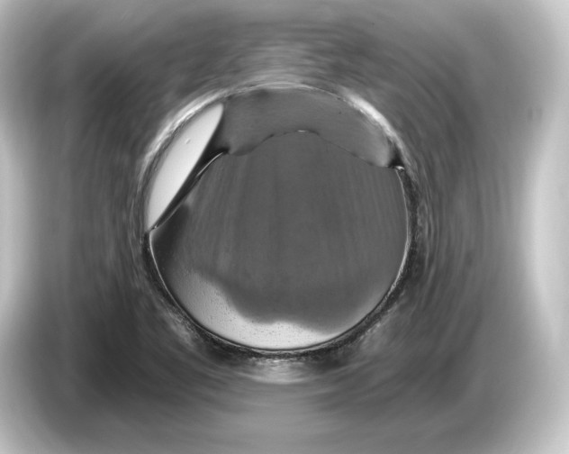 X0000084531461200703161558