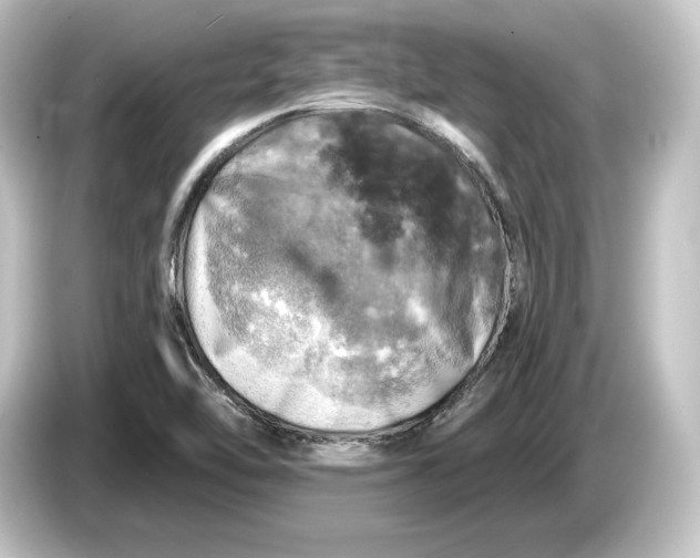 X0000084531462200703161558