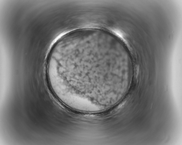 X0000084531463200703161558