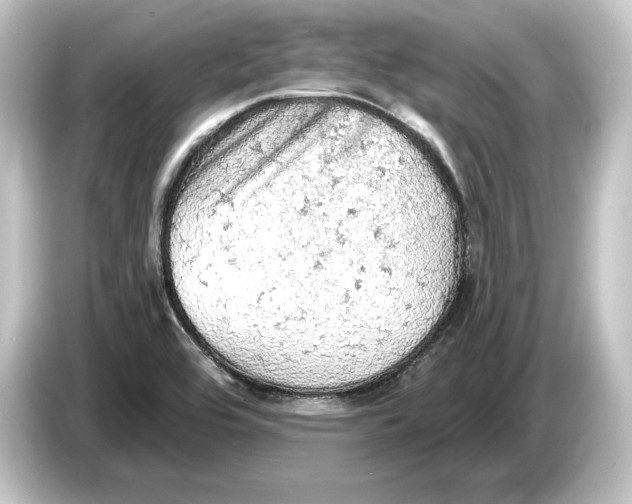 X0000084531464200703161558