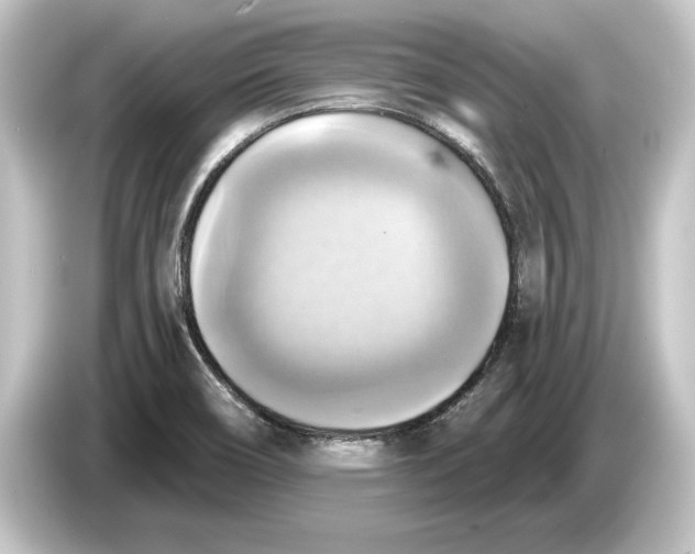 X0000084531466200703161557