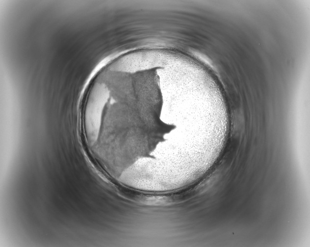 X0000084531467200703161557