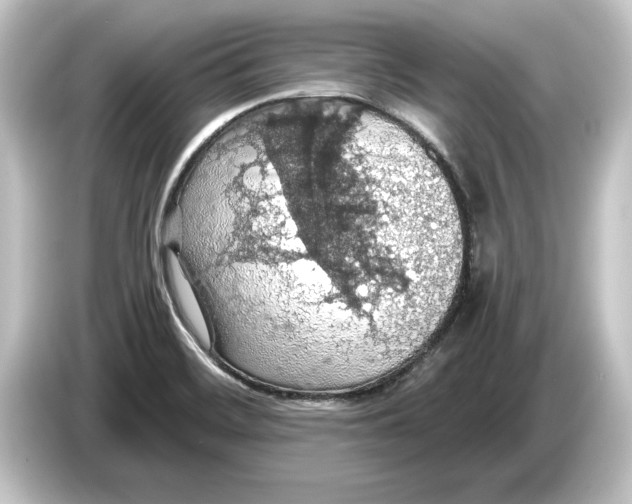 X0000084531468200703161557