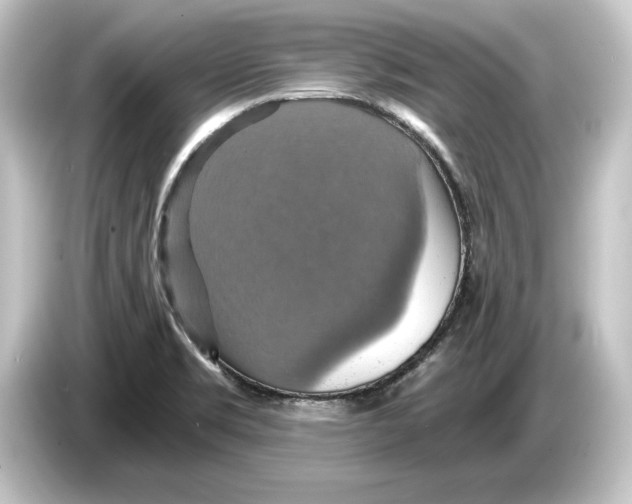 X0000084531469200703161557