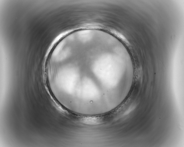 X0000084531470200703161557