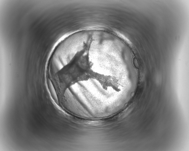 X0000084531471200703161557