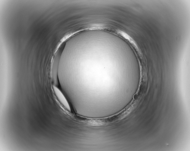 X0000084531473200703161557