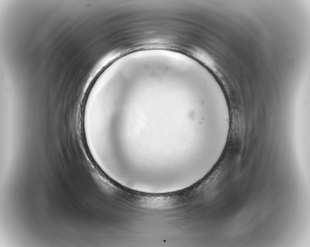 X0000084531474200703161557