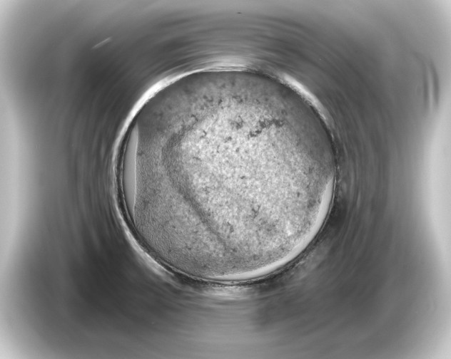 X0000084531475200703161557