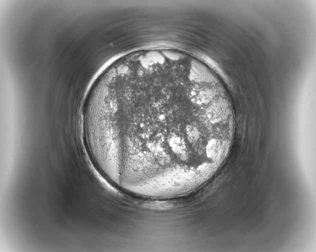 X0000084531476200703161557