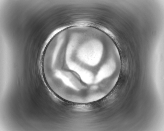 X0000084531478200703161557