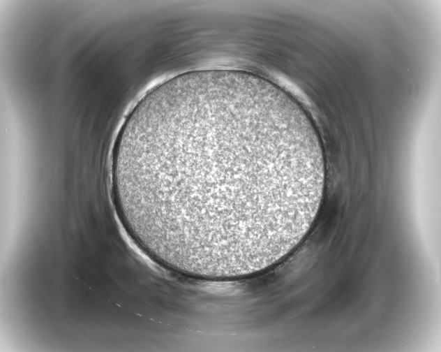 X0000084531479200703161557