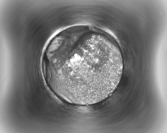 X0000084531480200703161557