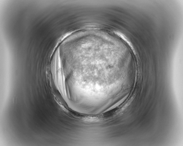 X0000084531481200703161557