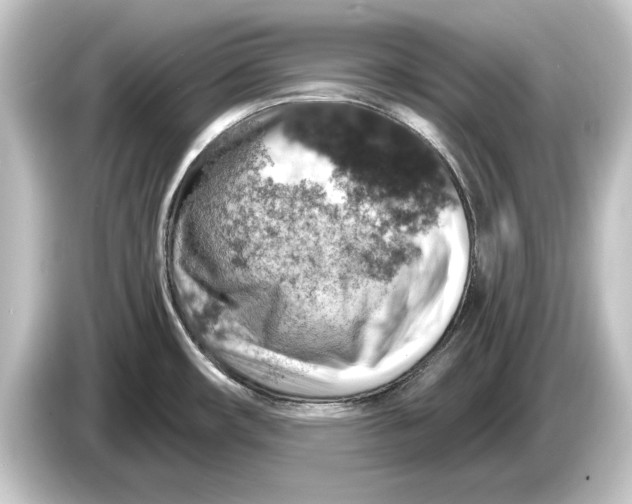 X0000084531482200703161557