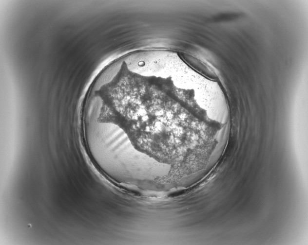 X0000084531483200703161557