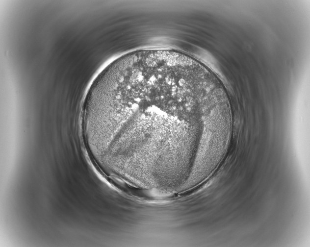 X0000084531484200703161557