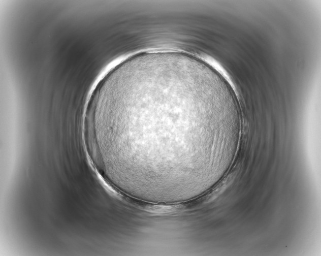 X0000084531485200703161557