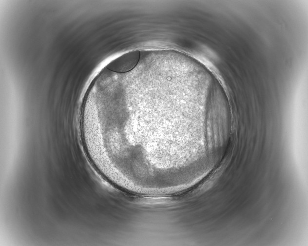 X0000084531486200703161557