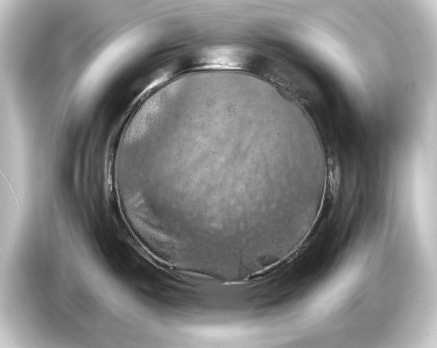 X0000084531487200703161557