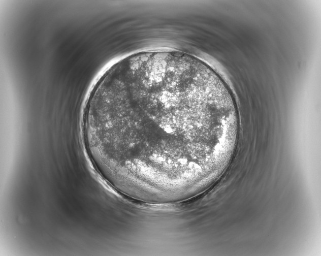 X0000084531488200703161557