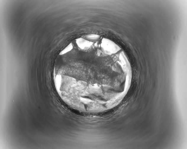 X0000084531489200703161557