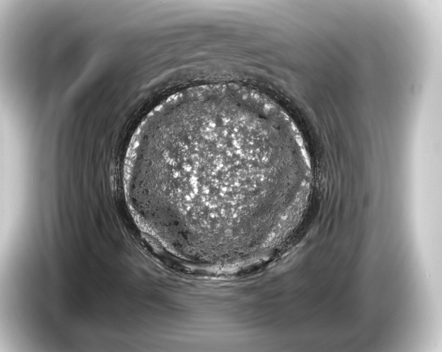 X0000084531490200703161557