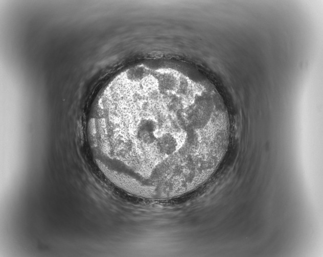 X0000084531493200703161557