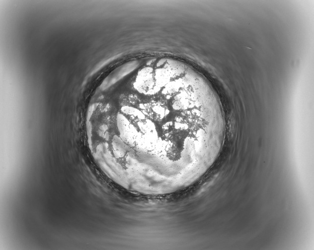 X0000084531494200703161557