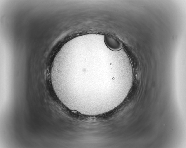 X0000084531495200703161557