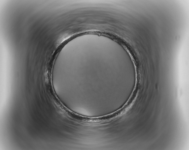 X0000084531497200703161557