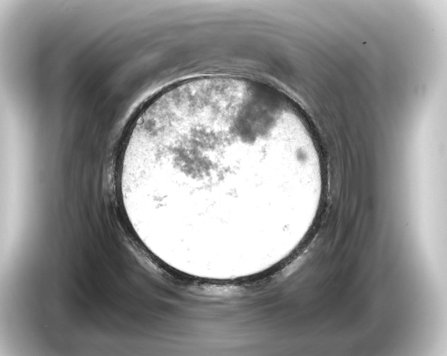 X0000084531498200703161557