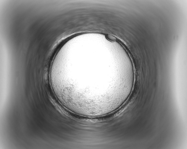 X0000084531499200703161557