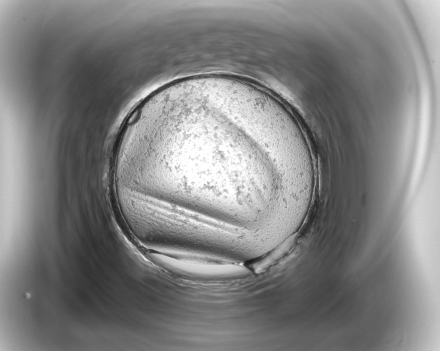 X0000084531500200703161557