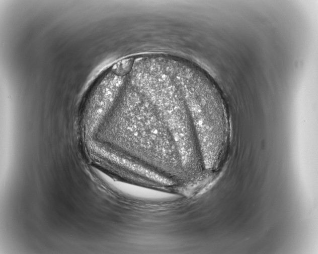 X0000084531501200703161557