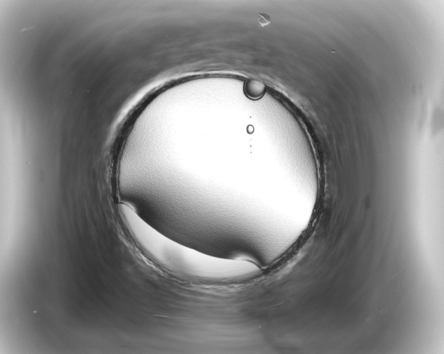 X0000084531502200703161557