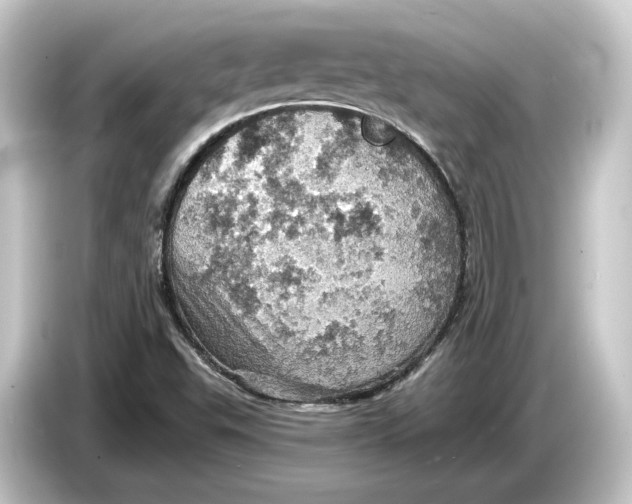 X0000084531503200703161557