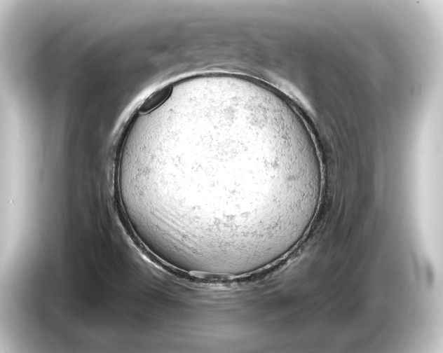 X0000084531504200703161557