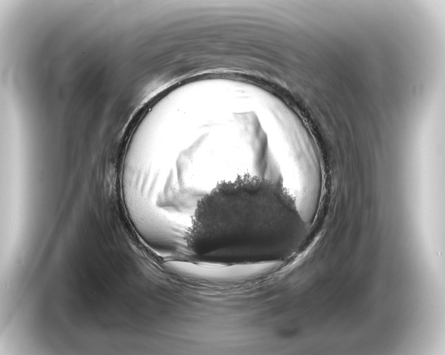 X0000084531505200703161557