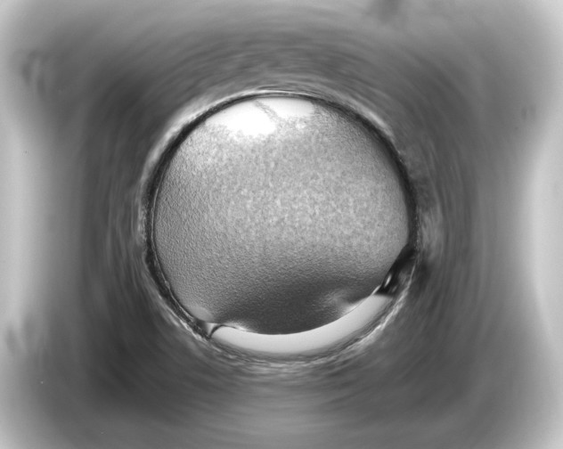 X0000084531506200703161557