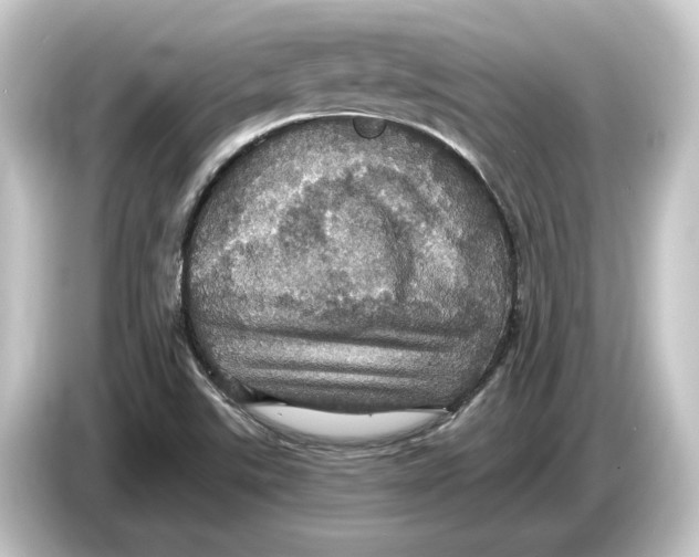 X0000084531507200703161557