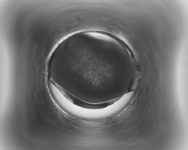 X0000084531508200703161557