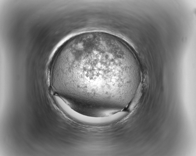 X0000084531510200703161557