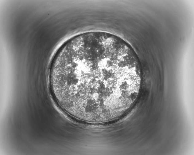 X0000084531511200703161557