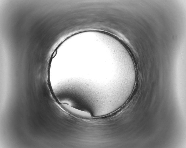 X0000084531512200703161557