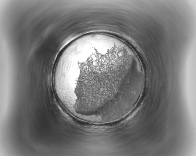 X0000084531513200703161557