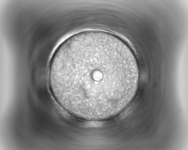 X0000084531514200703161557