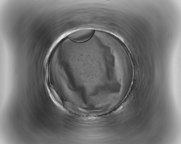 X0000084531515200703161557