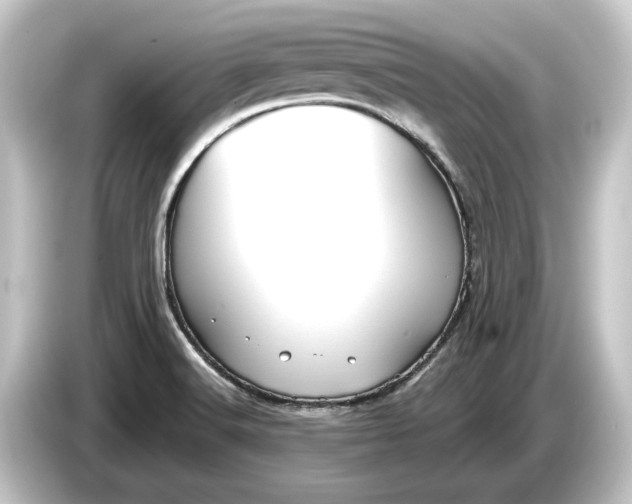 X0000084531516200703161557